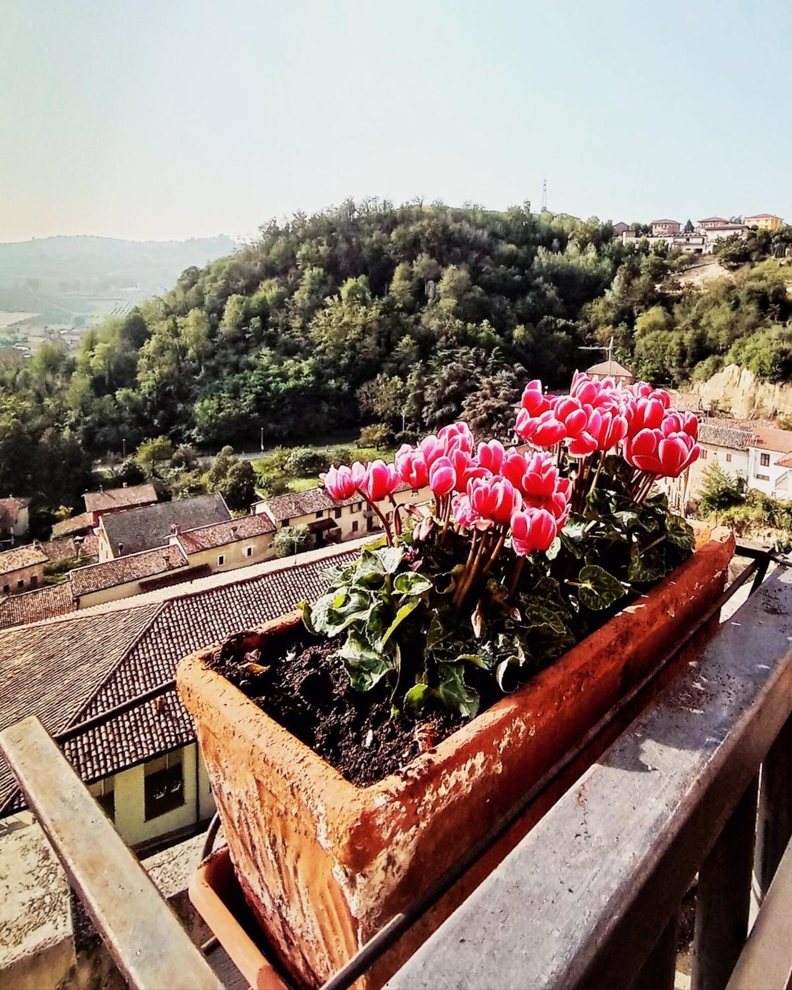 Teresa Al Belvedere Rooms&Holidayapartments Camere&Appartamenti Castellinaldo Ngoại thất bức ảnh